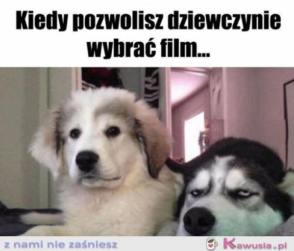 Teraz siedź cicho i oglądaj...