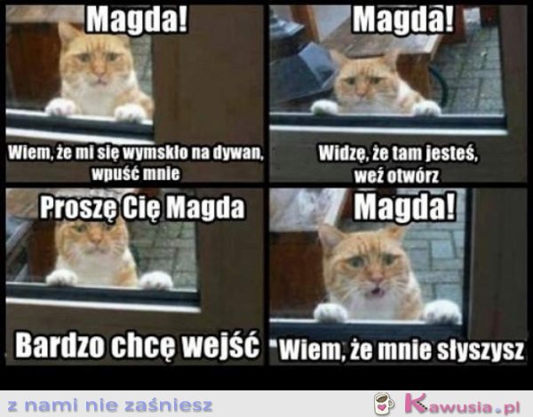 No Magda proszę Cię