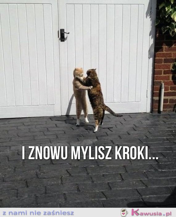 I znowu mylisz kroki