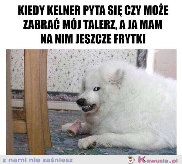 PAN RACZY ŻARTOWAĆ?