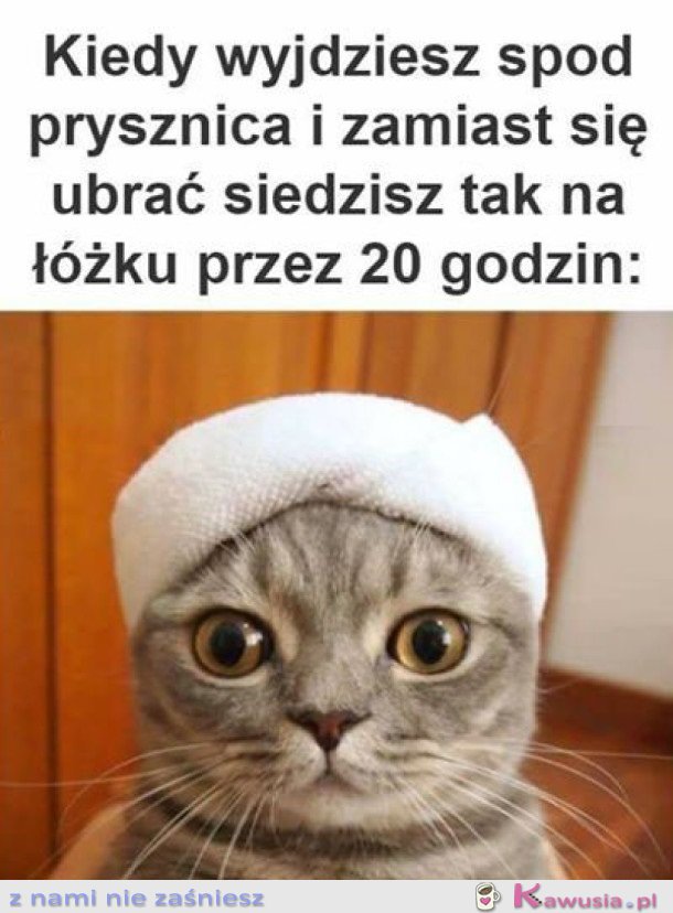 ROZMYŚLAM NAD SENSEM ISTNIENIA