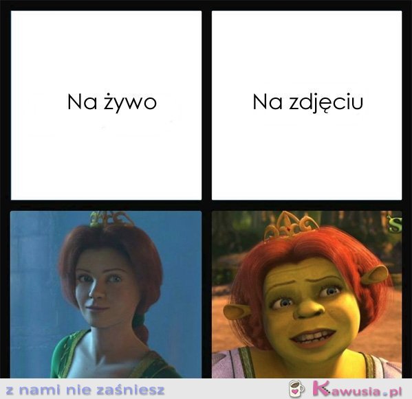 Na żywo, a na zdjęciu