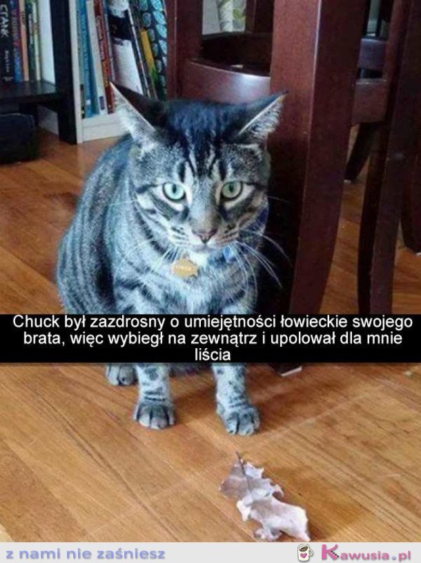 PIĘKNY PREZENT, DZIĘKUJĘ PAN KOTEŁ