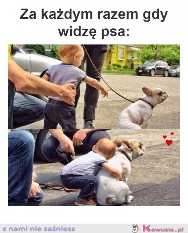 Za każdym razem kiedy widzę psa