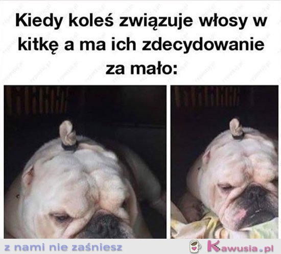 Panowie proszę nie róbcie tego