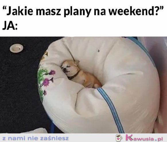 MOJE PLANY NA WEEKEND