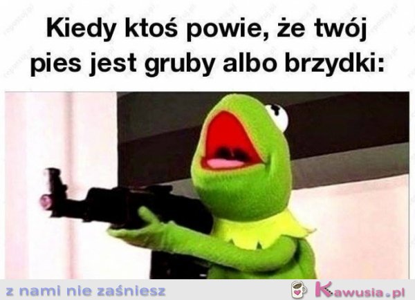 Kiedy ktoś obrazi mojego psa