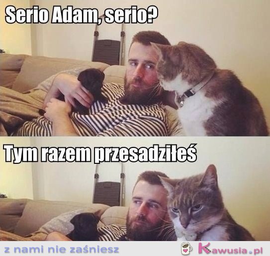 No przegiął...