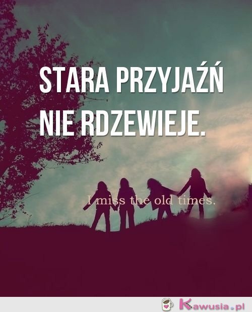Stara przyjaźń