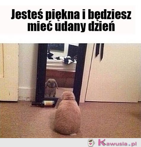 Jesteś piękna