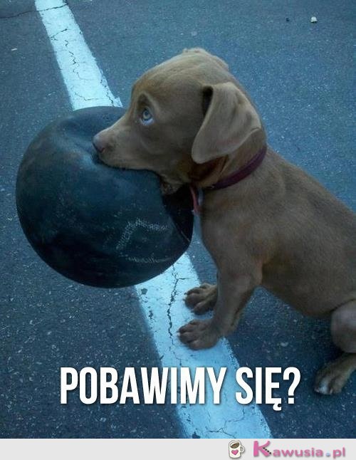 Pobawimy się