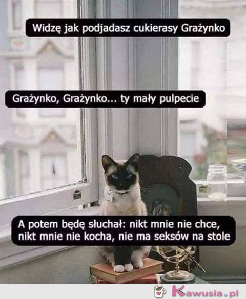 Ojjj Grażyna, Grażyna