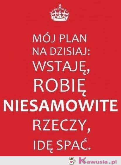 Mój plan na dzisiaj