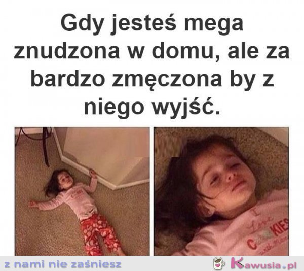 Nic mi się nie chce