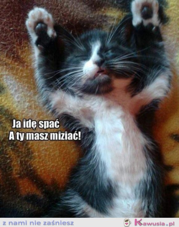 MIZIAJ MNIE CZŁOWIEKU