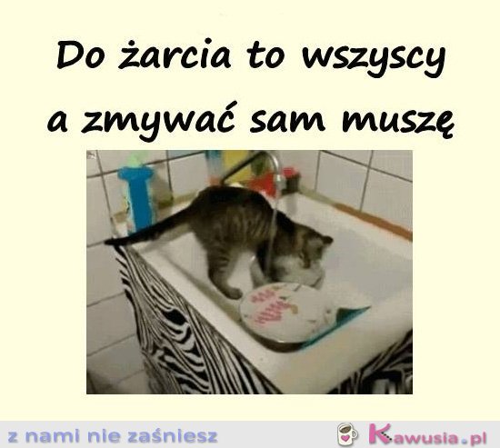 Do żarcia to wszyscy