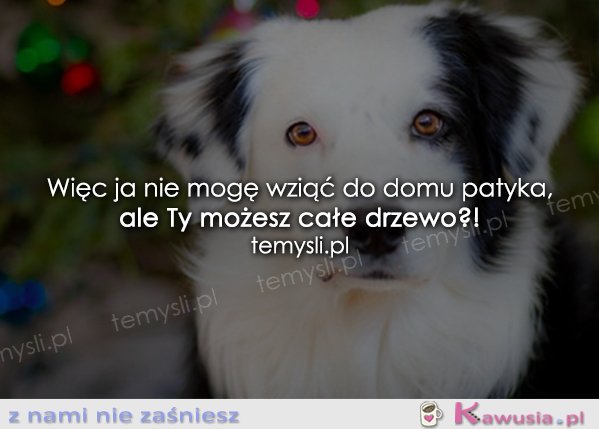 To jest bardzo niesprawiedliwe