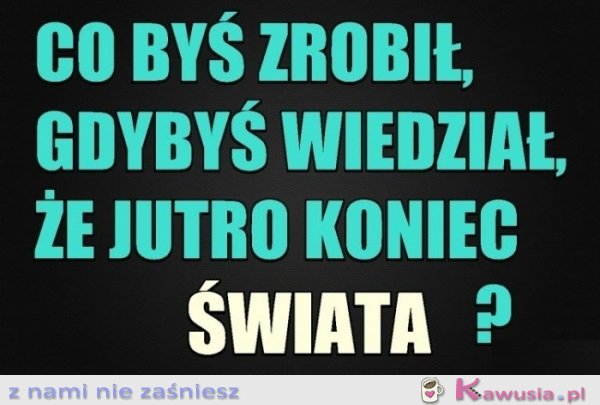 Co byś zrobił?