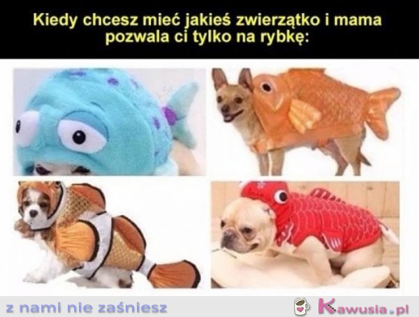 Mama pozwala mi tylko na rybkę