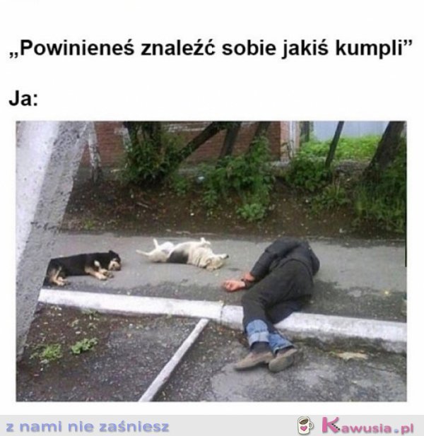 Mówiłam aby poszukał nowych kolegów