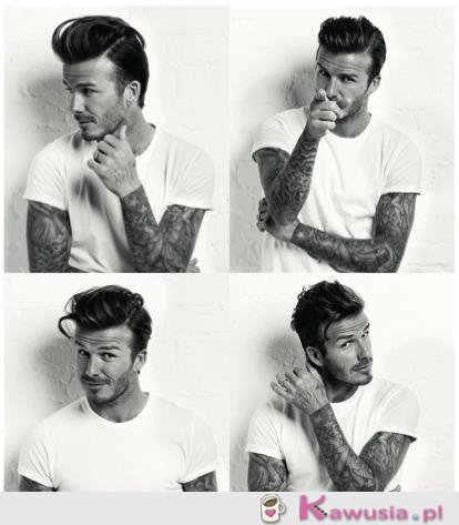 David