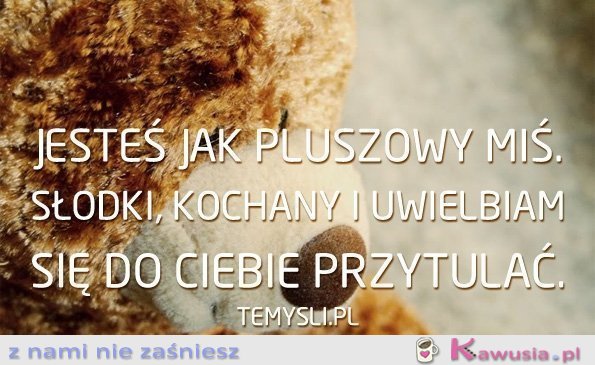 Jesteś jak pluszowy miś