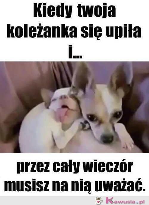 No i zaczęło się...