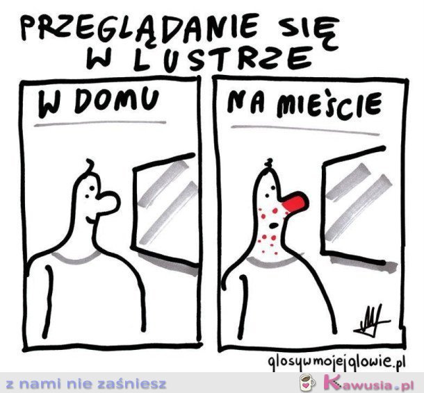 PRZEGLĄDANIE SIĘ W LUSTRZE