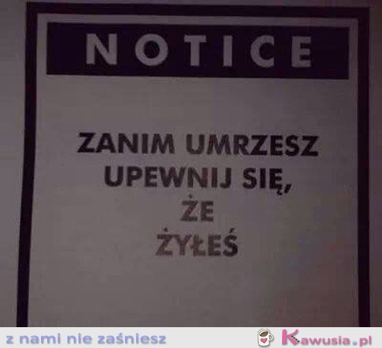 Zanim umrzesz