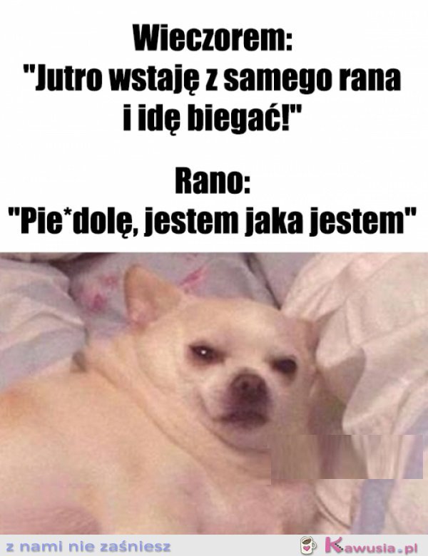 O 6 rano akceptuję siebie jak nigdy...