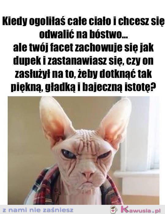 Nie wiem czy na to zasłużył