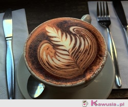 Kawka ^^