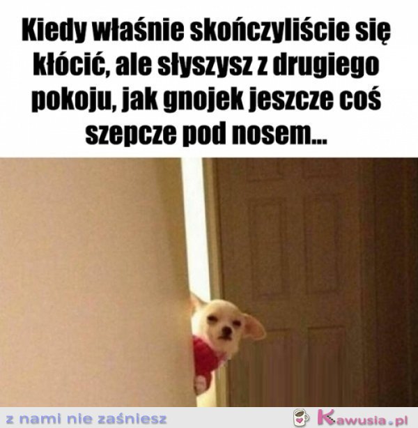 Co tam jeszcze gadasz...