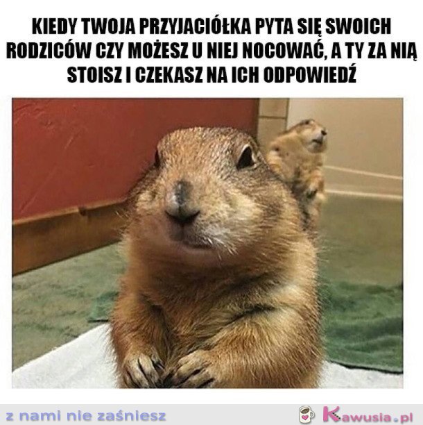 NOCOWANIE U PRZYJACIÓŁKI