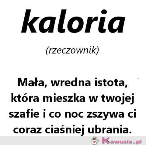 Kaloria