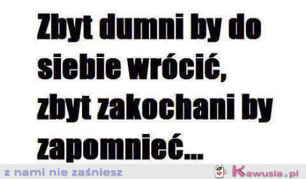 Zbyt dumni by...