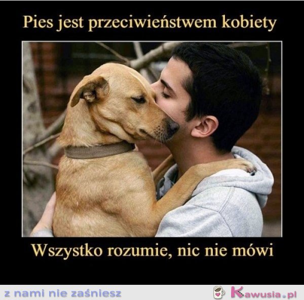 Pies jest przeciwieństwem kobiety