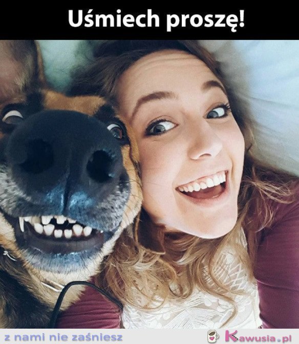 POWIEDZ SER