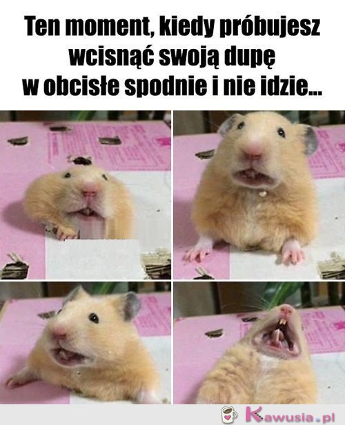 Nie r&oacute;bcie mi tego!