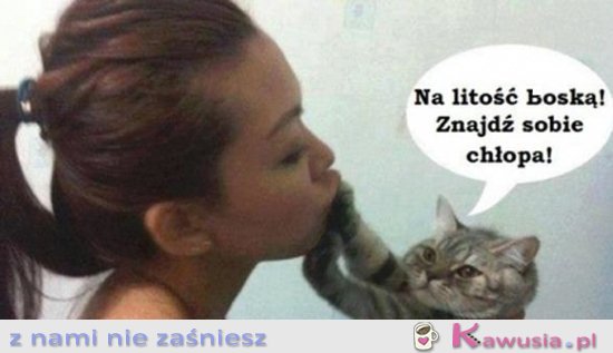 Kotek radzi