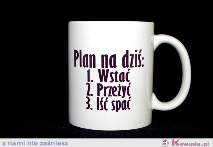 PLAN NA DZIŚ 1. Wstać 2. Przeżyć 3. Iść spać