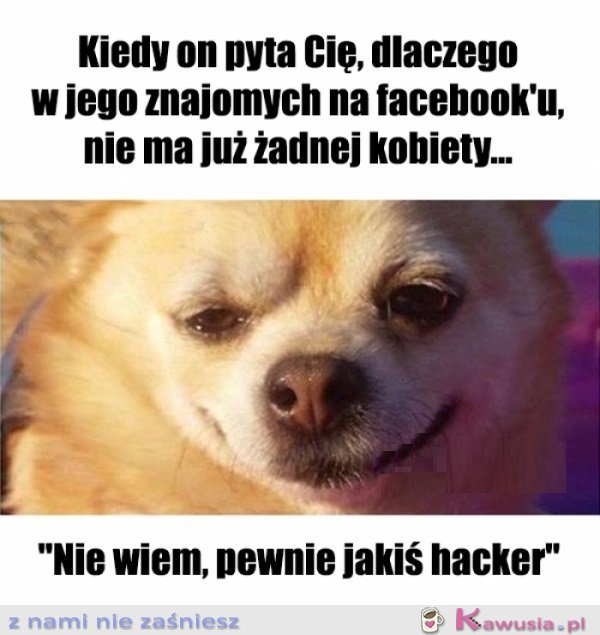 Dziwne rzeczy...