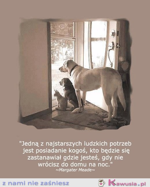 Jedną z najstarszych ludzkich potrzeb