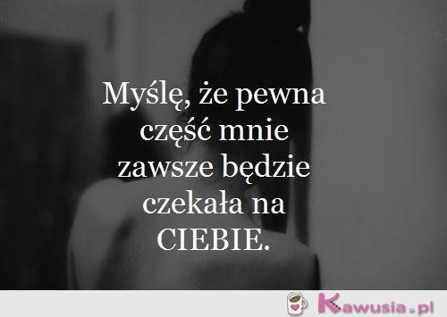 Pewna część mnie