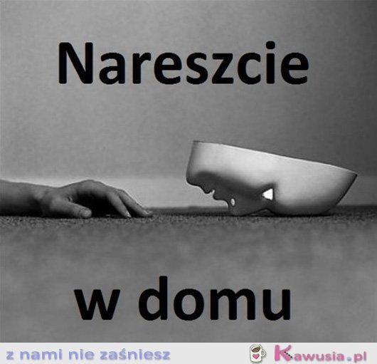 Nareszcie w domu