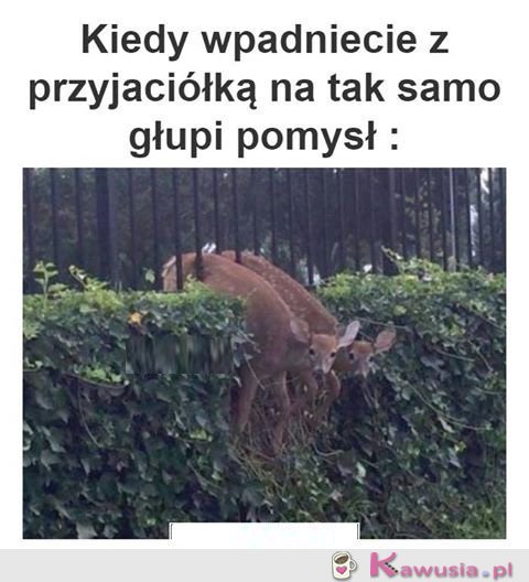 Na moją przyjaciółkę zawsze mogę liczyć