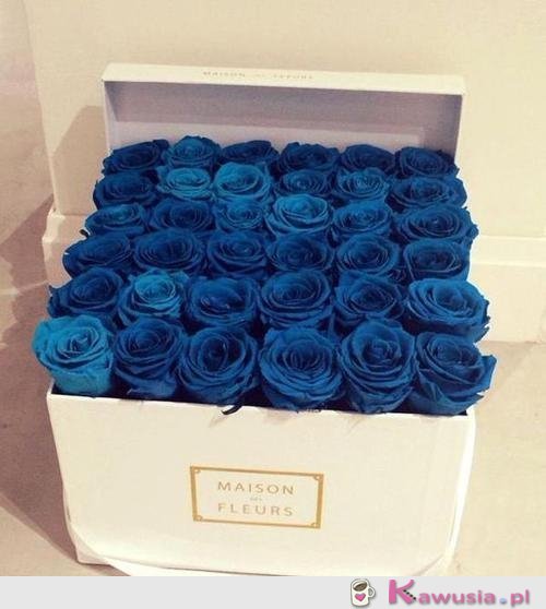 Niebieskie róże