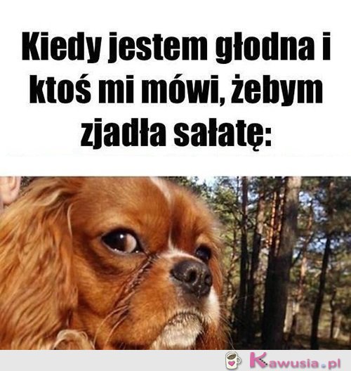 Żartujesz?
