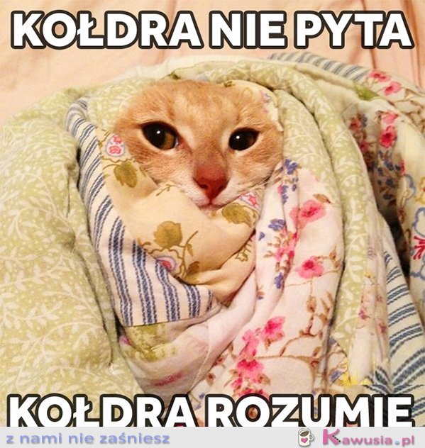 Kołdra nie pyta