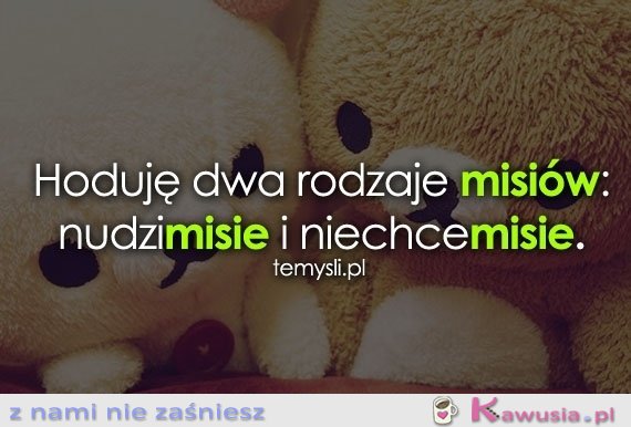 Hoduję dwa rodzaje misiów...